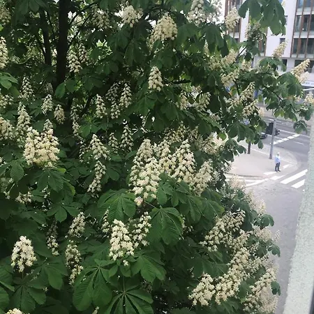 Apartment Grochowy - Stare Poznan